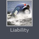 Liability